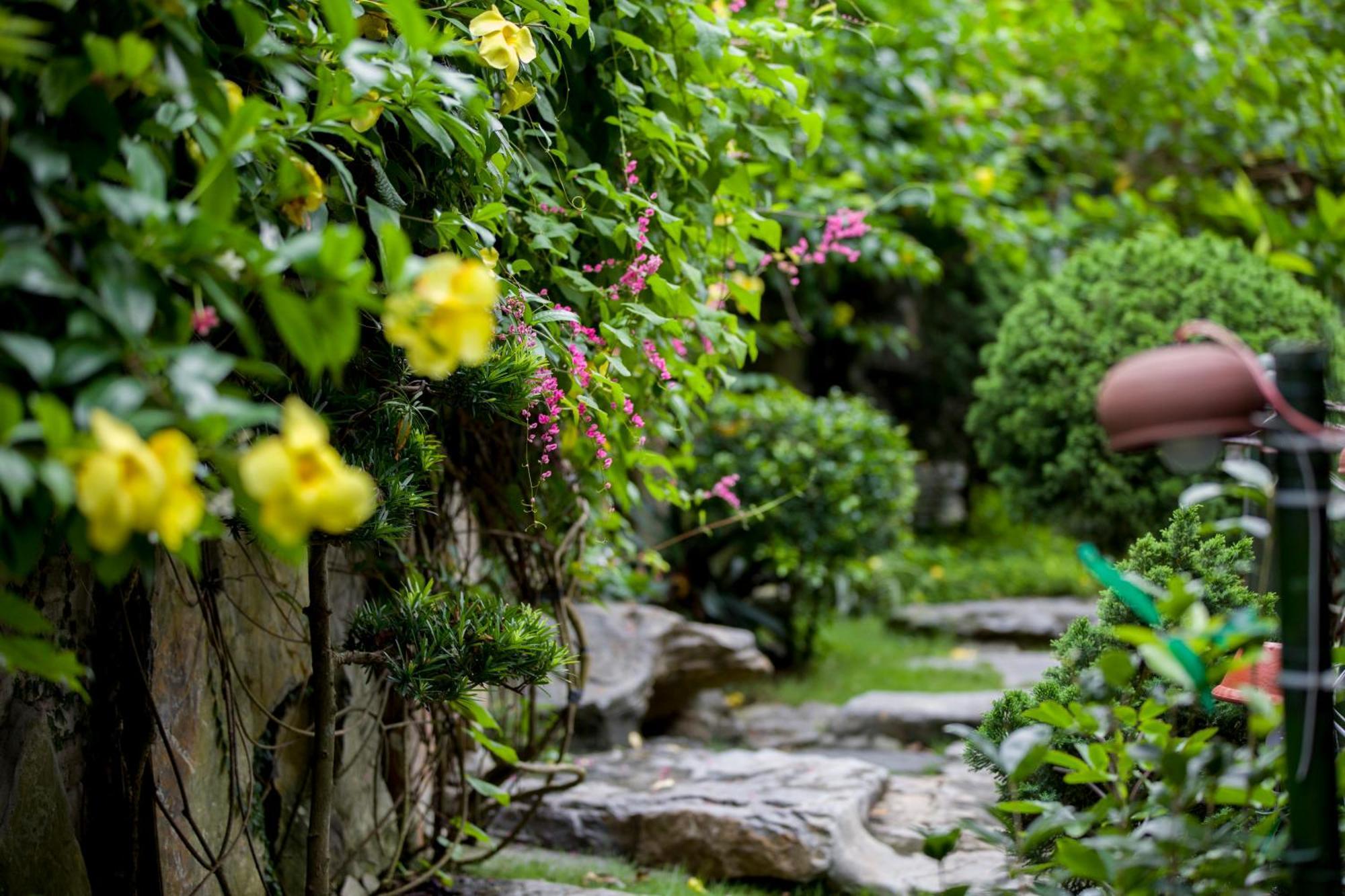 Tam Coc Lion Kings Hotel & Resort Ниньбинь Экстерьер фото